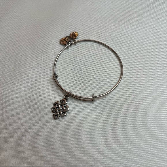 Alex And Ani Endless Knot Charm Antique Silver Finish Bangle Bracelet One Size - Picture 3 of 16